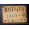 Collection of over 40 Railway Related Vintage Keys - Mounted
