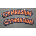 SADF - Army Gymnasium Shoulder Titles