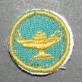SADF - Nursing Proficiency Badge