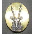 SADF - SWATF Cap Badge