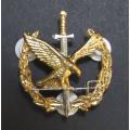 South Africa Task Force Operator Badge