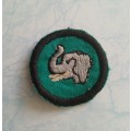 School Cadet Badge