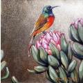 `SUNBIRD ON PINK PROTEA` Original Painting on Boxed Canvas by Cherie Roe Dirksen - 30x30x4cm