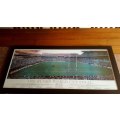 1995 Rugby World Cup Final Framed Picture
