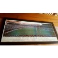 1995 Rugby World Cup Final Framed Picture