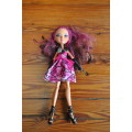 Monster High Ever After Briar Doll (please read)
