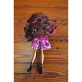 Monster High Ever After Briar Doll (please read)