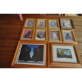 Framed Cat Prints (10 in total)