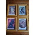 Framed Cat Prints (10 in total)
