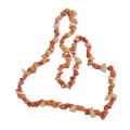 Necklace - Fashionable Autumn Coloured Sea Shell Necklace
