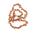 Necklace - Fashionable Autumn Coloured Sea Shell Necklace