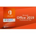 Microsoft Office 2019 Professional Plus 1 PC license ESD