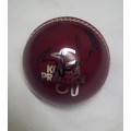 Kookaburra Practice 135 g Cricket Ball - Handsigned Autograph by Brian McMillan