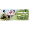 Portable Aluminum picnic table with 4 Stools Folding Table Set