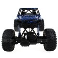 MONSTER DX STORM CRAWLER 1:16 IN SIZE 2.4GHZ 4 WD RALLY TRUCK