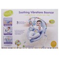 Baby Soothing Vibrations Bouncer