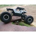 MONSTER DX STORM CRAWLER 1:16 IN SIZE 2.4GHZ 4 WD RALLY TRUCK