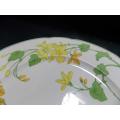 Stunning Serving Plate from Villeroy and Boch