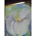 Lovely Original Arum Lily by Rochelle Beresford