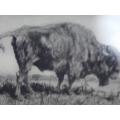 `The Bison` by Donovan Leroux Hand signed copy 1/50
