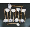 Set of Ten Soup Spoons of Shell and Stick