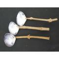 Set of Ten Soup Spoons of Shell and Stick