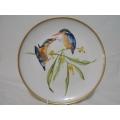 Beautiful Plate from Heritage Porcelain Malachite Kingfishers