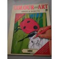 Colour and Art - Birds and Insects