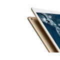 CLEARANCE SALE : iPad Pro 12.9 inch 128 GB WiFi + Cellular
