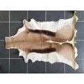 animal skin , Springbok skin,  LOT 1  119cm x 89cm