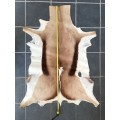 animal skin , Springbok skin,  LOT 4 , 120cm x 99cm