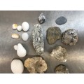 Nature stone lot (no.1) for collectors
