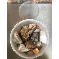 Nature stone lot (no.4) for collectors