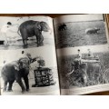 Im Dschungel der Panzernashörner vintage german 1962 , book language german,