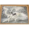 A vintage print by well known artist Vladimir Tretchikoff - The dying swan