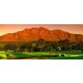 #15X NEW TRIGGER GOLF BALLS+ 10 X Stellenbosch Golf Club Tees + 1 X NEW SOFT FEEL PINK(new)