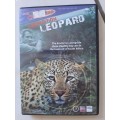 Expedition Leopard DVD