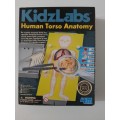 4M Kidz Labs Human Torso Anatomy