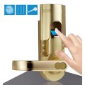 Digi 6600-86 Series Biometric fingerprint Door lock
