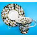 Royal Albert Provincial Flowers Series Duo - Dogwood - Made In England