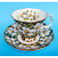 Royal Albert Provincial Flowers Series Duo - Dogwood - Made In England