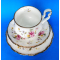 Royal Albert " Tenderness " Trio - Victoria Shape - Made In England