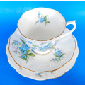 Royal Albert  " Forget Me Not " Trio - Made In England