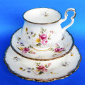 Royal Albert " Tenderness " Trio - Victoria Shape - Made In England