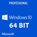 Windows 10 Pro X64 on Flash Drive
