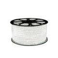 6MM LED 5050 Strip Light White