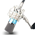 Multifunctional Douyin Kuaishou Live Capacitor Recording Microphone