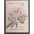 Boom van die jaar 1989 Calodendrum capense (CJ Esteruyse)