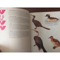 Birds of the national parks of South Africa ( T Campbell, R Findlay, Meg and Alan Kemp)