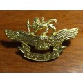 Rhodesian Air Force Cap Badge, anodized gold